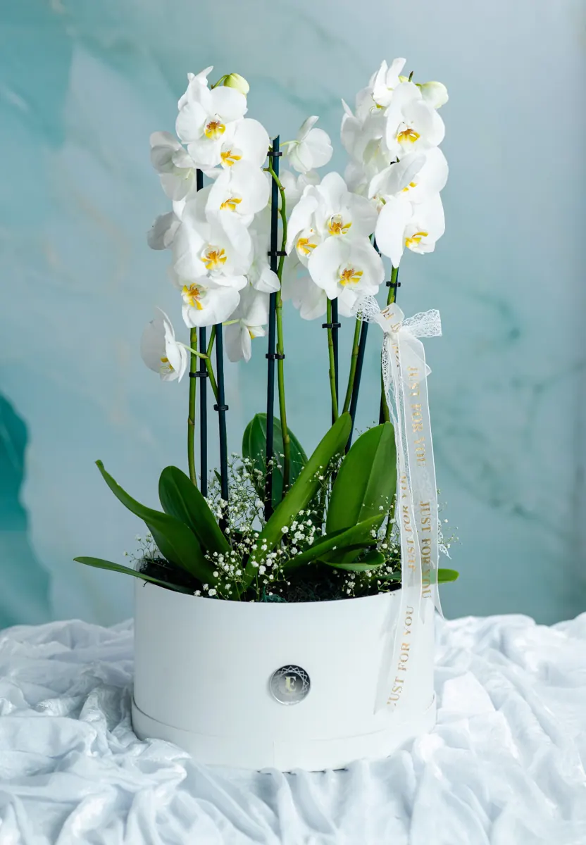 Trabalhos de arte floral 4